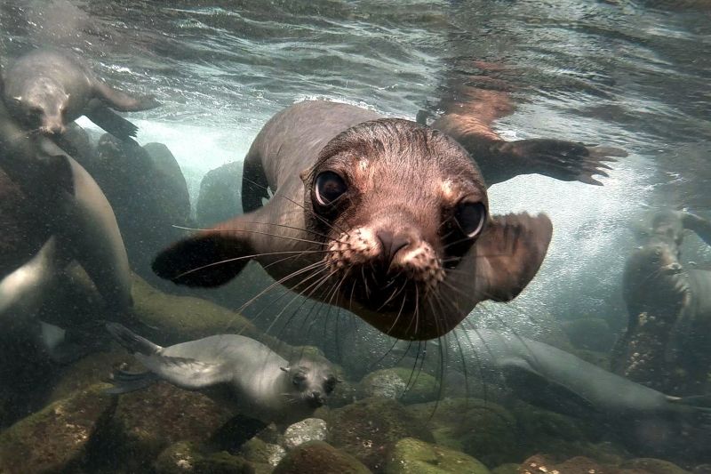 Galapagos Islands
