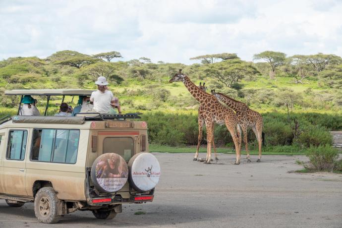 A comprehensive guide to safari in Africa