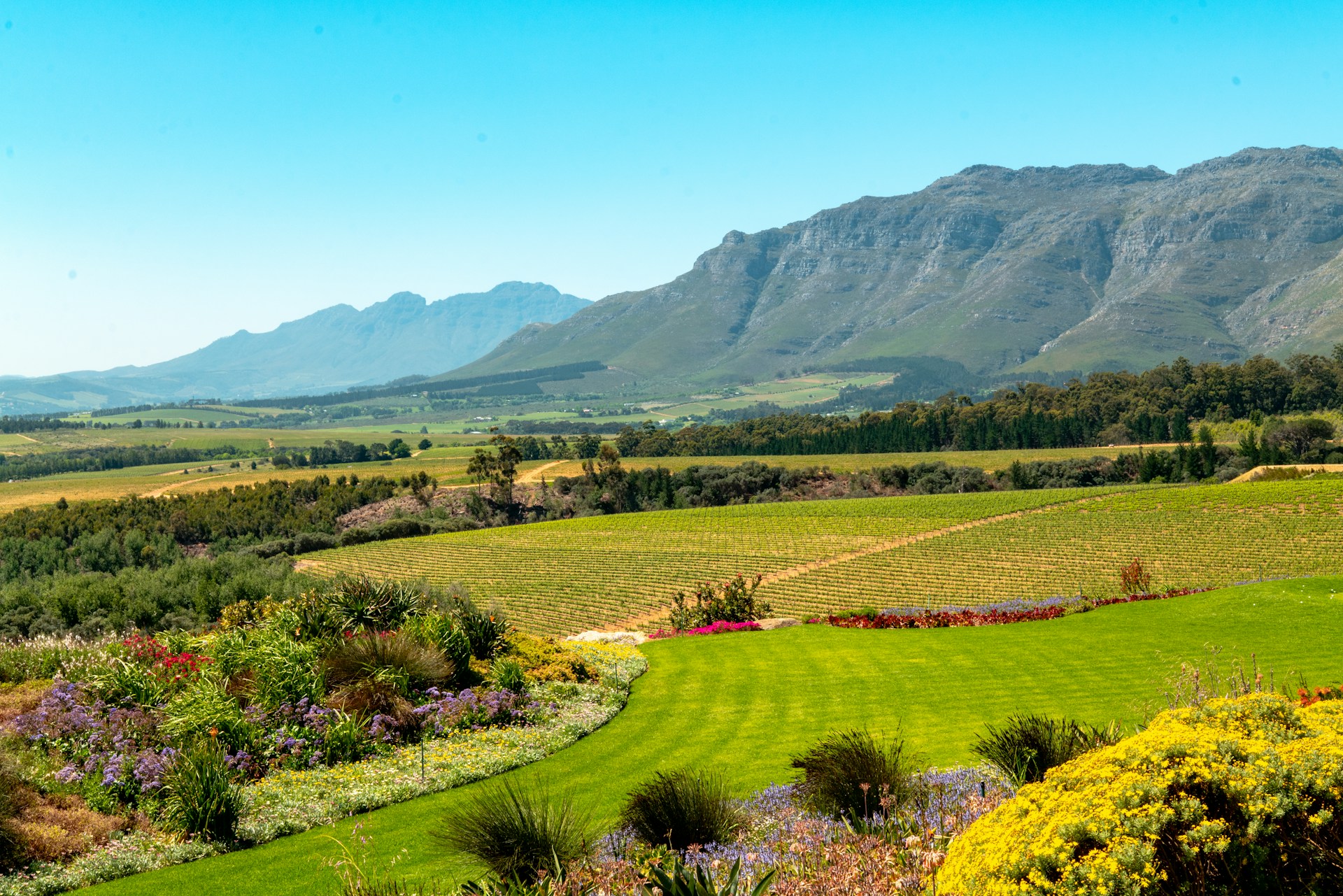 Stellenbosch and Franschhoek wine regions South Africa