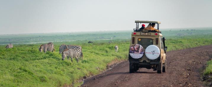 The best Kenyan safari parks and when to visit 