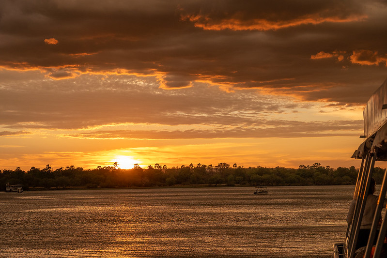 Zambezi River Sunset Cruise